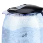 Sonai Glass Kettle - Image 2