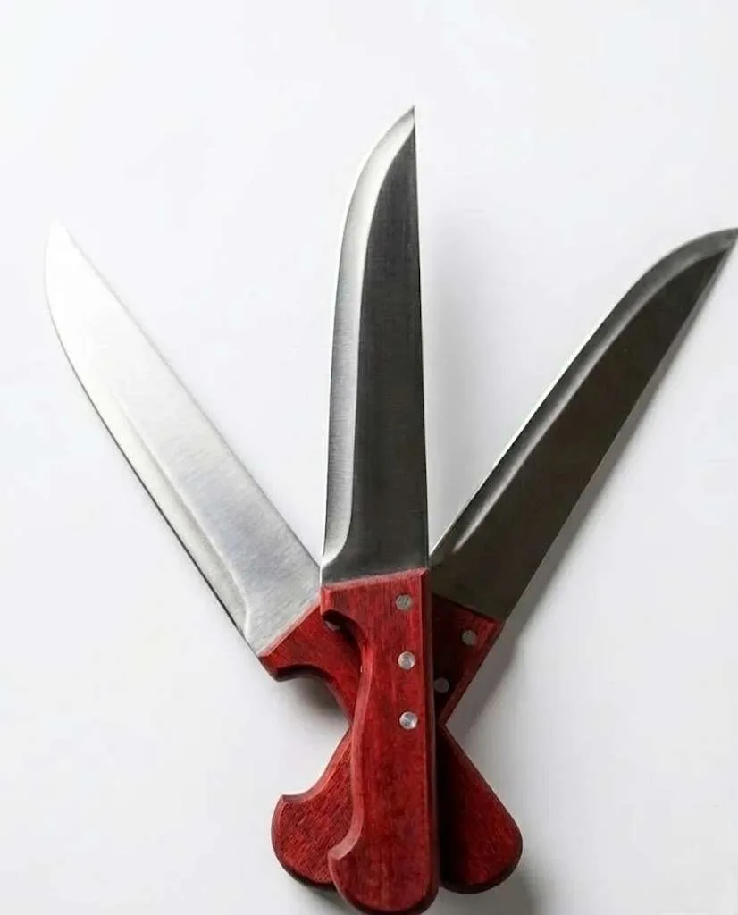Wooden handle knife - Image 1
