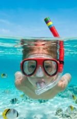 Large Snorkel Mask - Image 3